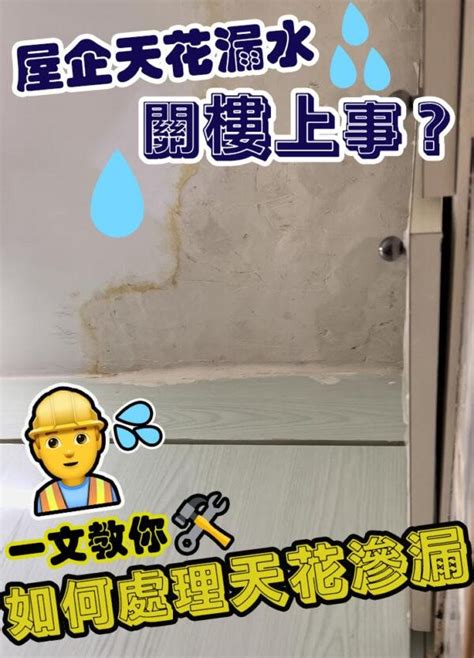 大樓公管堵塞漏水造成財損如何處理|樓上漏水怎麼辦？天花板漏水誰要負責？常見問題一次。